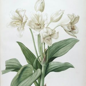 Meet your Posher, Sydney